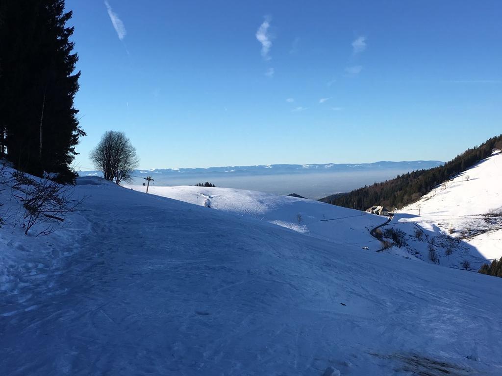 Gasthaus Zum Hirschen Staufen im Breisgau Bagian luar foto